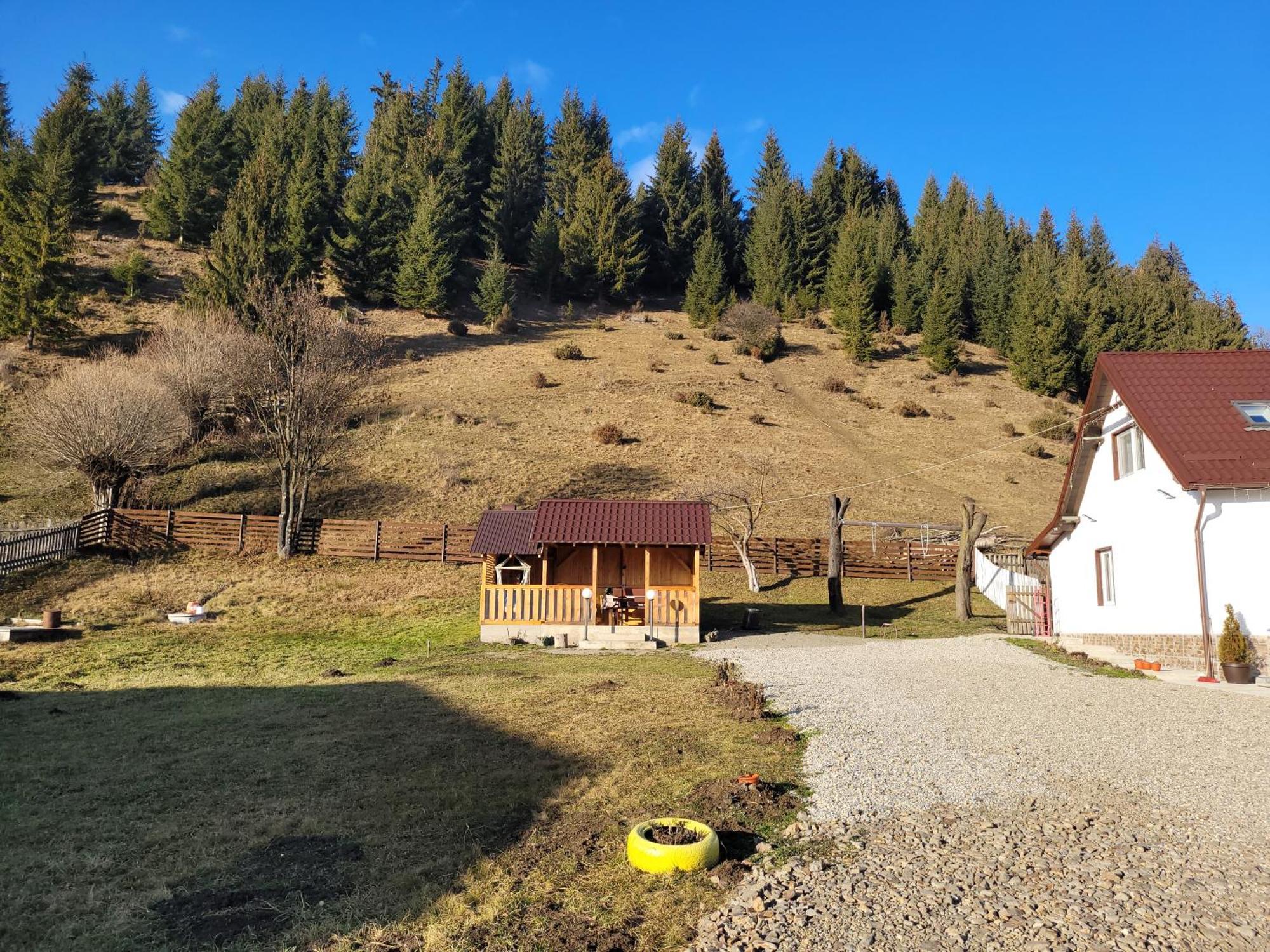 Casa Abp Villa Ватра Дорней Екстериор снимка